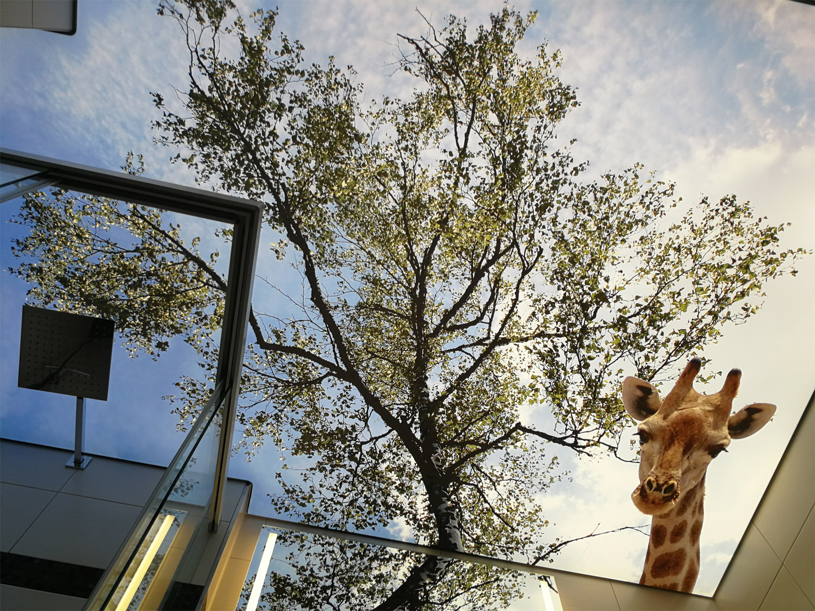 Die Entstehung des Giraffenmusters Die Deckenbespannung